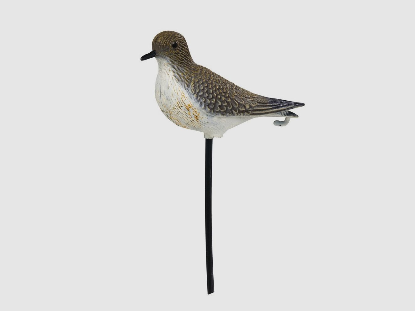 Stepland-Plover-Form