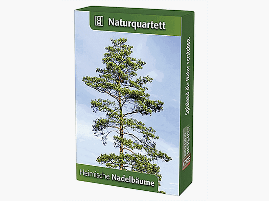Quartet de la nature "Arbres conifères"