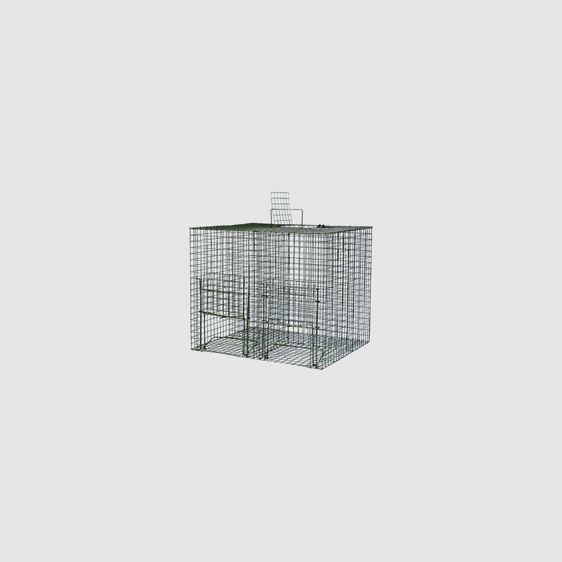 Trappola per cattura viva |