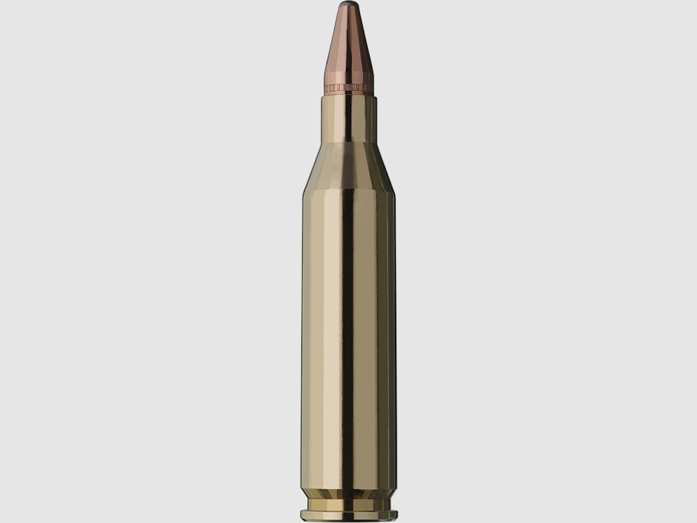RWS KS 96 gr. .243 Win (20 Stk.), Bild 2 von 2