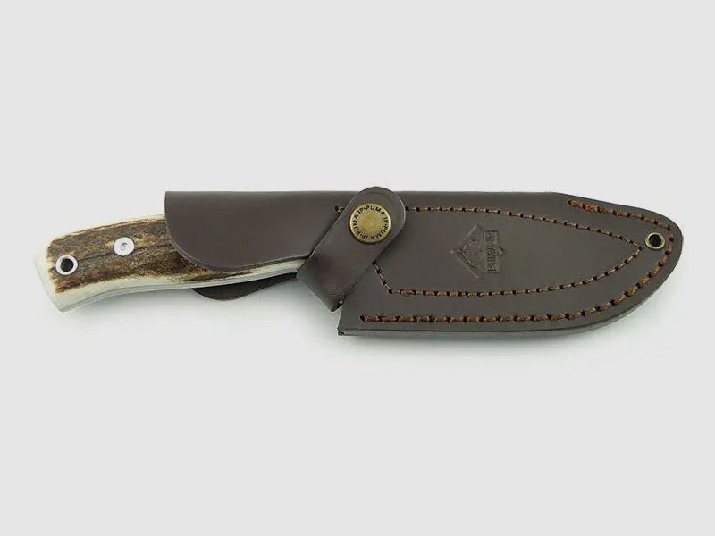 PUMA IP cervato, stag