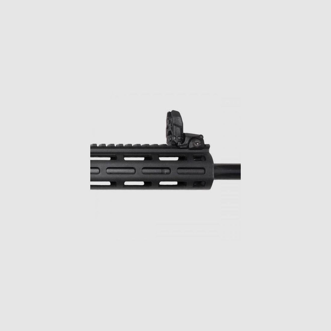 Smith & Wesson MP15 Sport PC, Bild 3 von 3