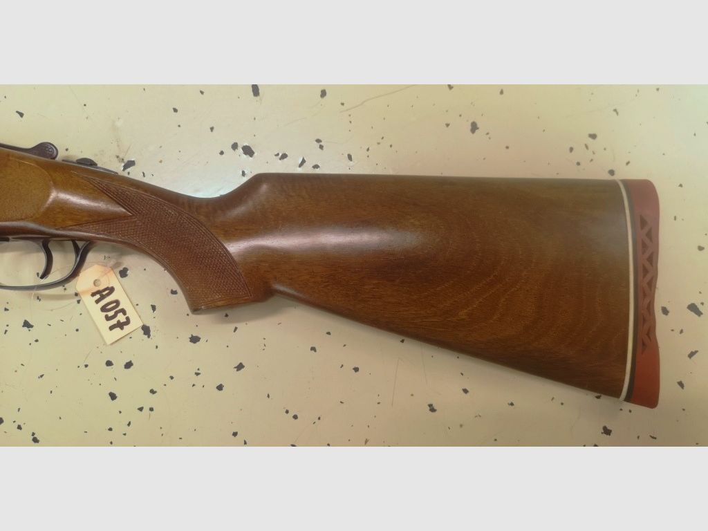 BDF Ibargun  Lanber 