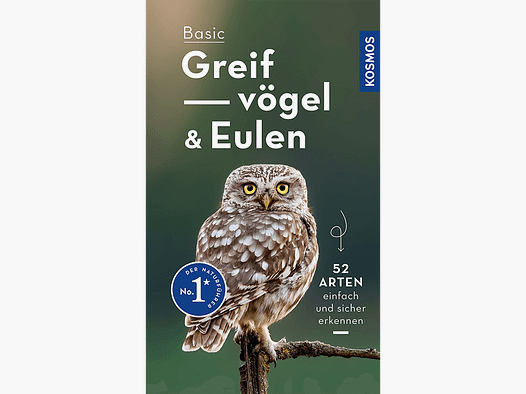 Livre "Oiseaux de Proie et Hiboux de Base"
