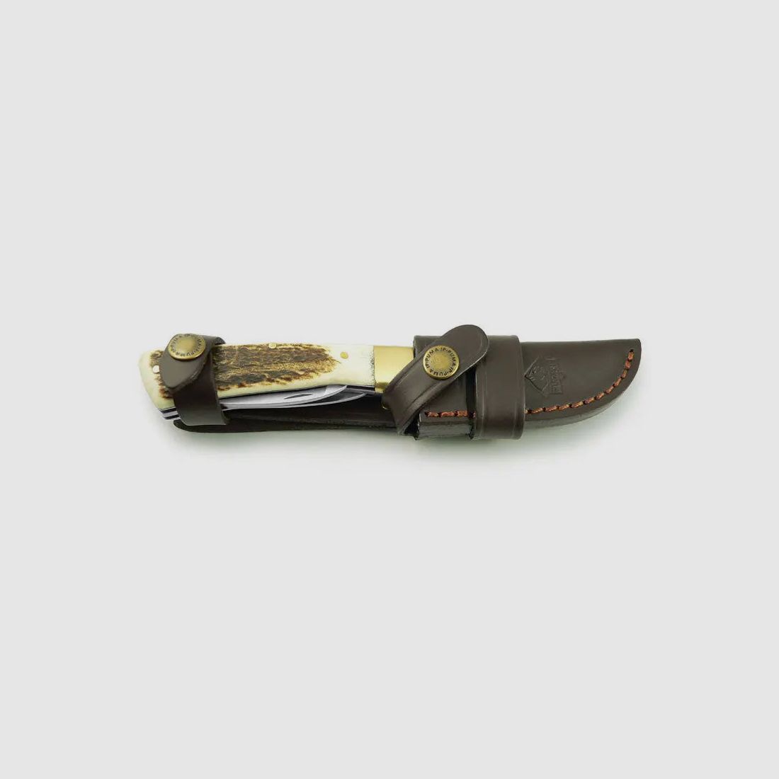 PUMA IP cazador forestal, imagen 4 de 4