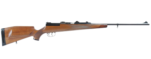 Mauser 66