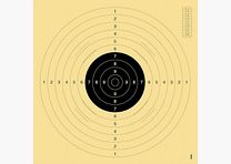 Target large 55cm ×52cm