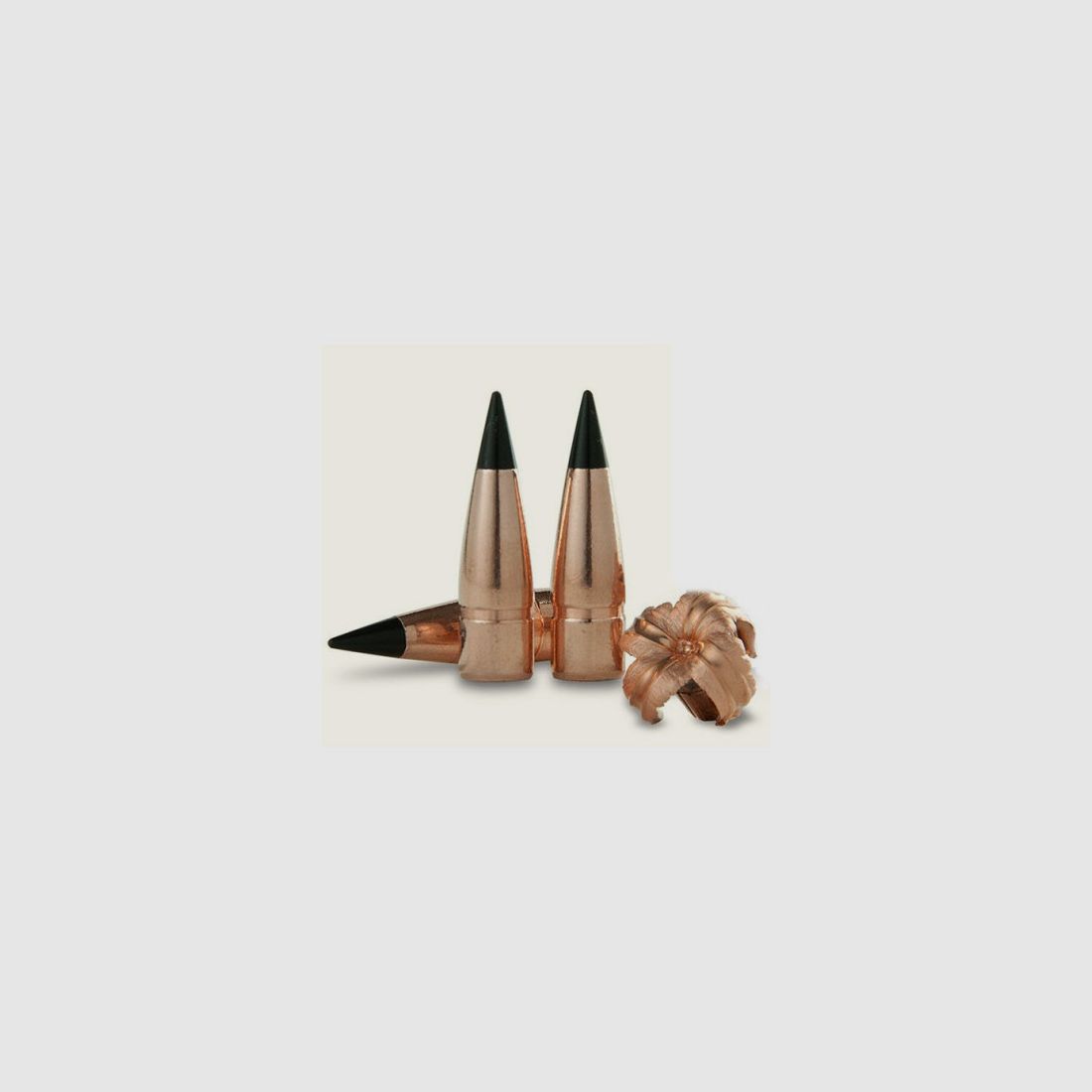 BARNES TAC-TX, image 2 sur 2