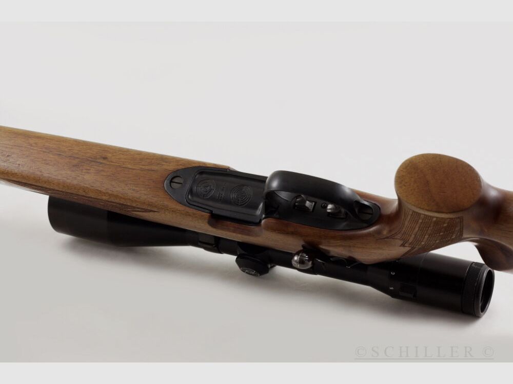 Steyr SL