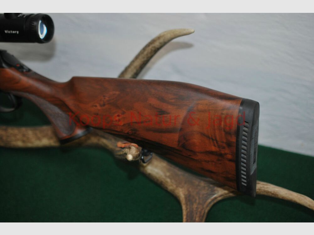 Sauer 202 Forest