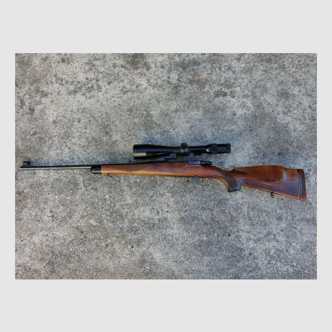Zastava, image 2 of 10