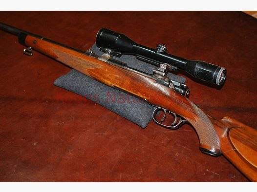 Steyr GK