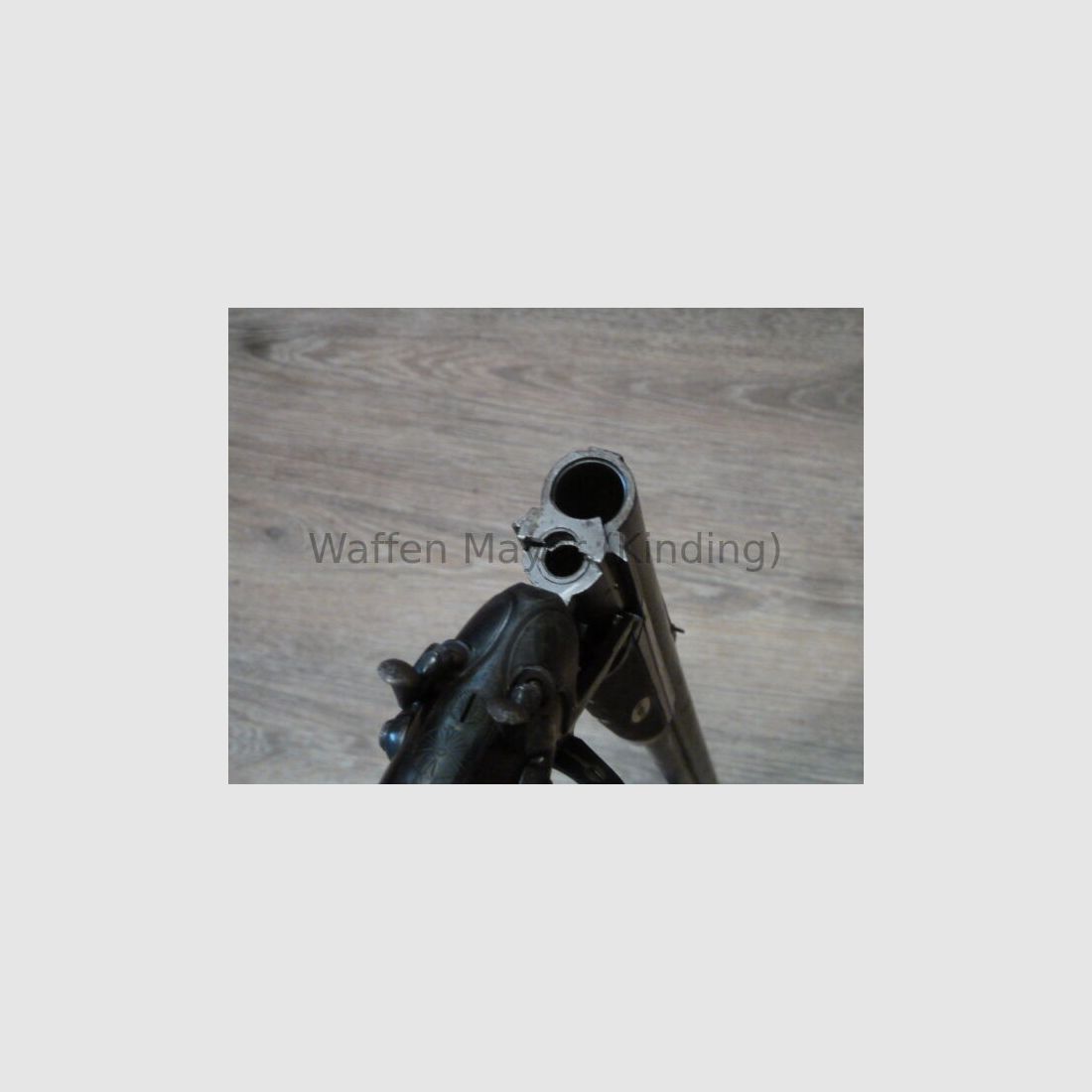 escopeta de perro desconocida