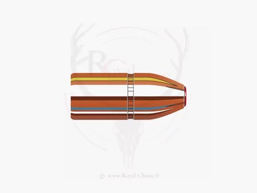 50 ogives Cal.45 D.452 395Grs SUB-X HORNADY