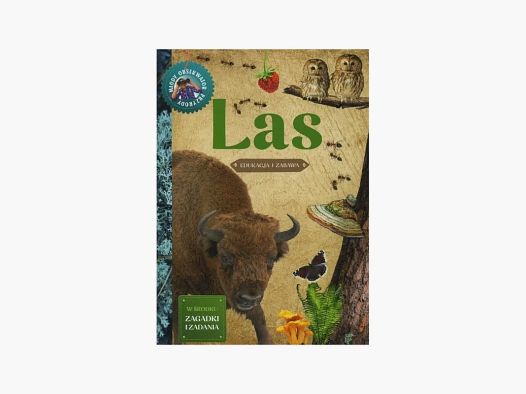 Young Nature Observer – Forest