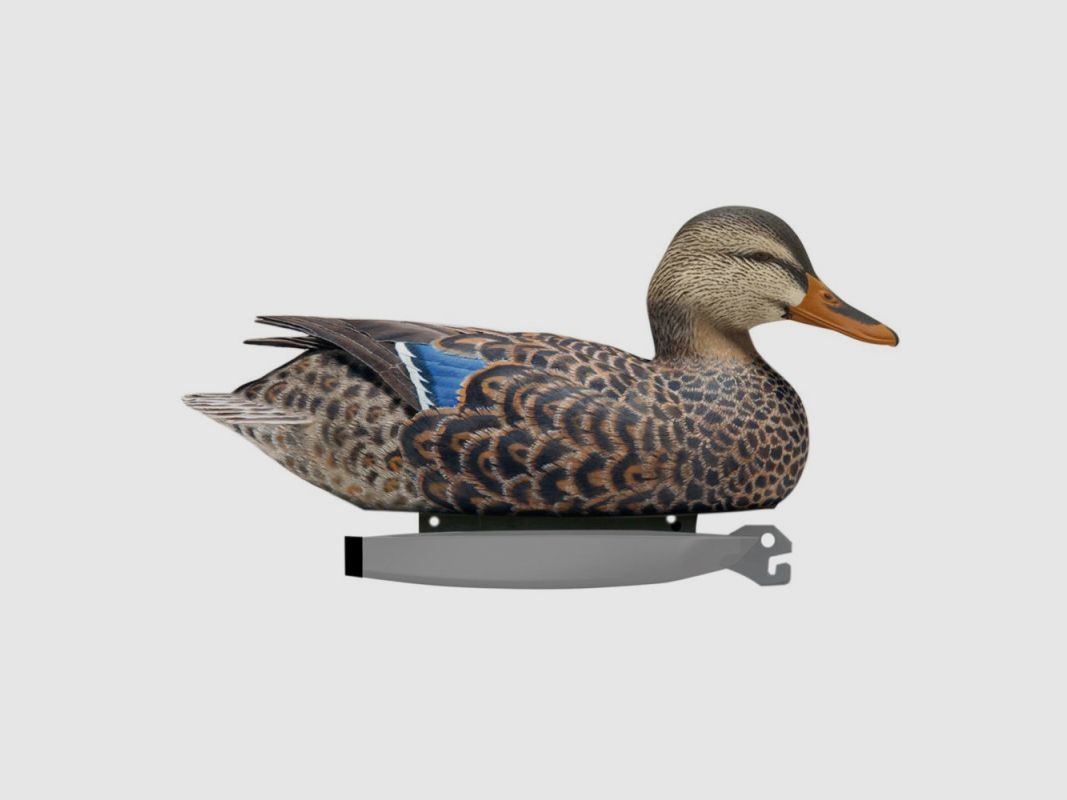 FORME CANARD COLVERT HD MOUSSE, image 2 sur 2