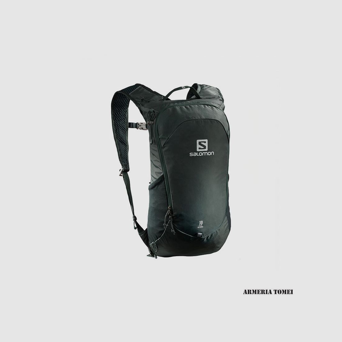 SALOMON – PLECAK – TRAILBLAZER 10 Green Gables, zdjęcie 1 z 2