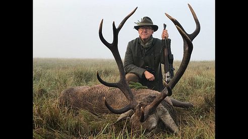 Der "Nebelhirsch" wird erlegt - spannende Jagd zur Hirschbrunft!