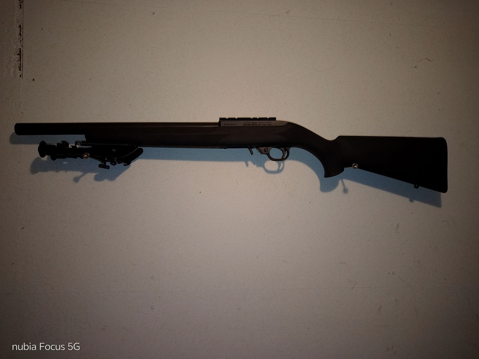 Ruger 10/22 