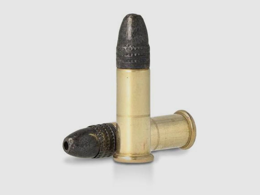 Remington Cyclone .22 LR 36GR LHP 50 Patronen