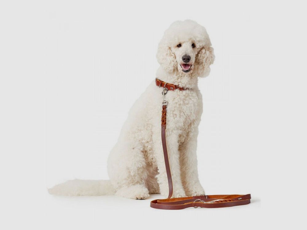 Hunter verstelbare riem Solid Education cognac soft vol rundleer, afbeelding 3 van 3