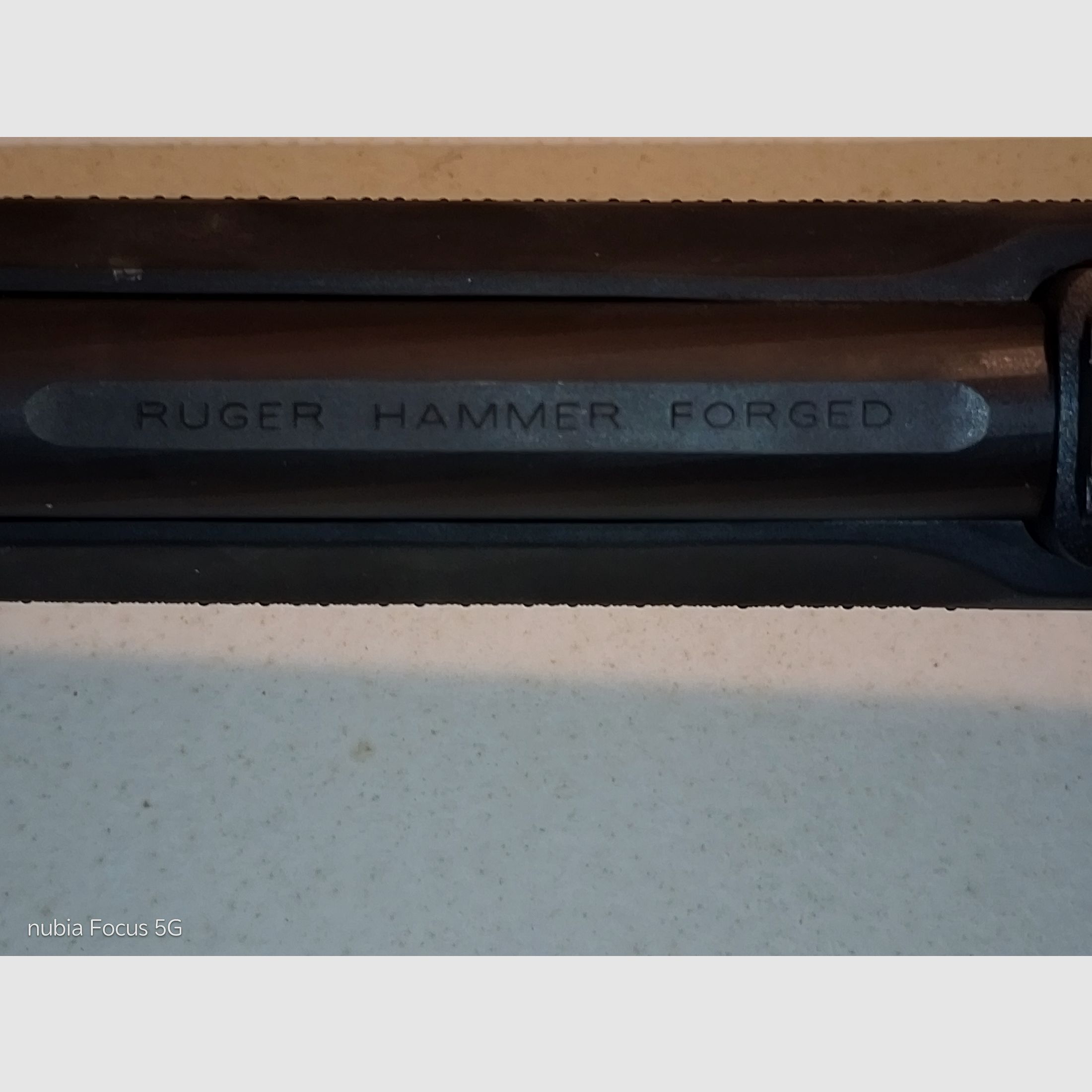 Ruger 10/22 
