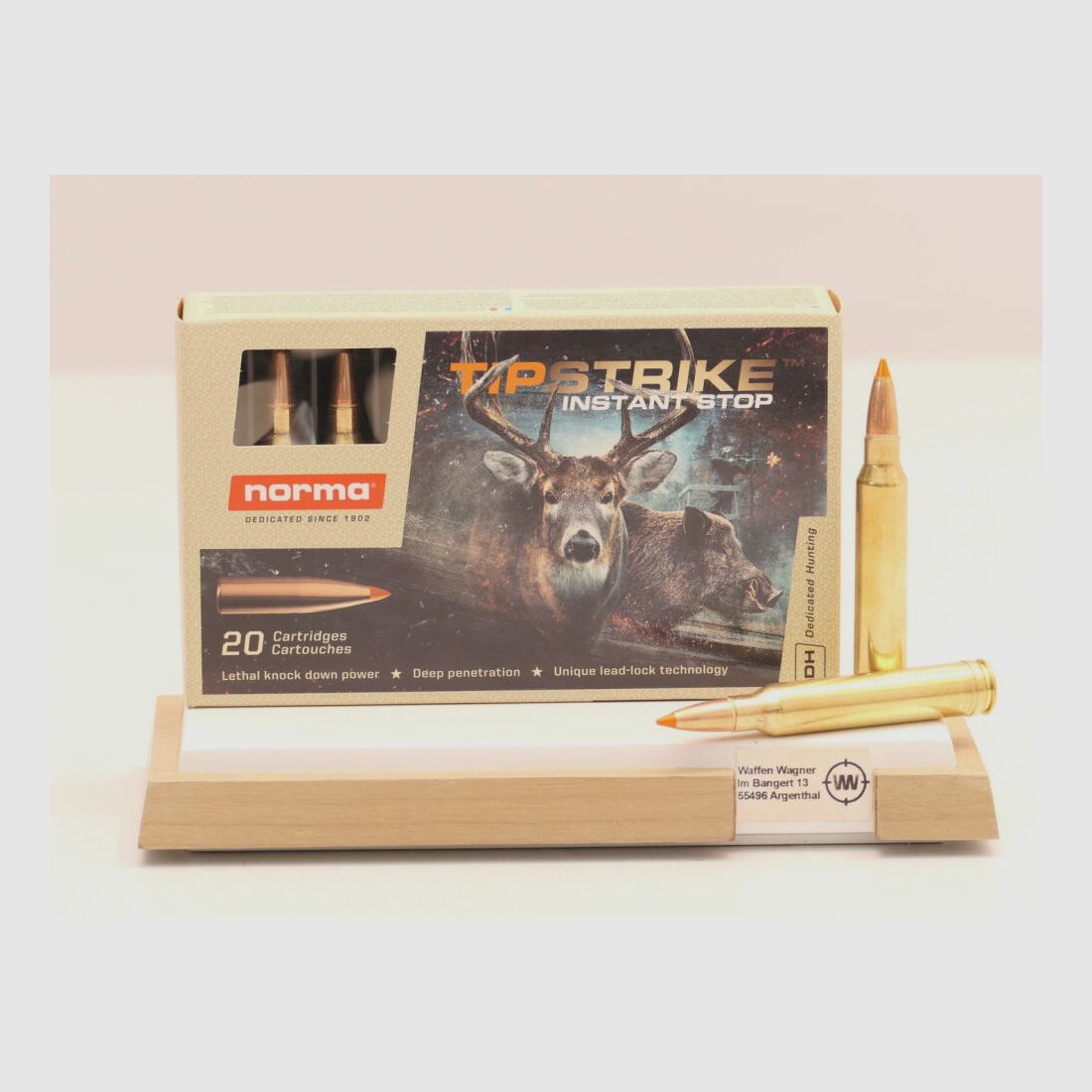 Norma Tipstrike 11,0g/170grs á20
