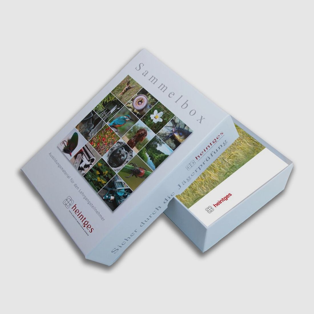 heintges Sicher durch die Jägerprüfung