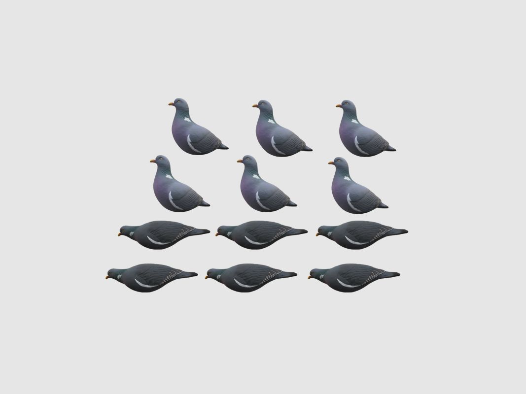 12-PIECE PIGEON MOLD SET, image 1 of 4
