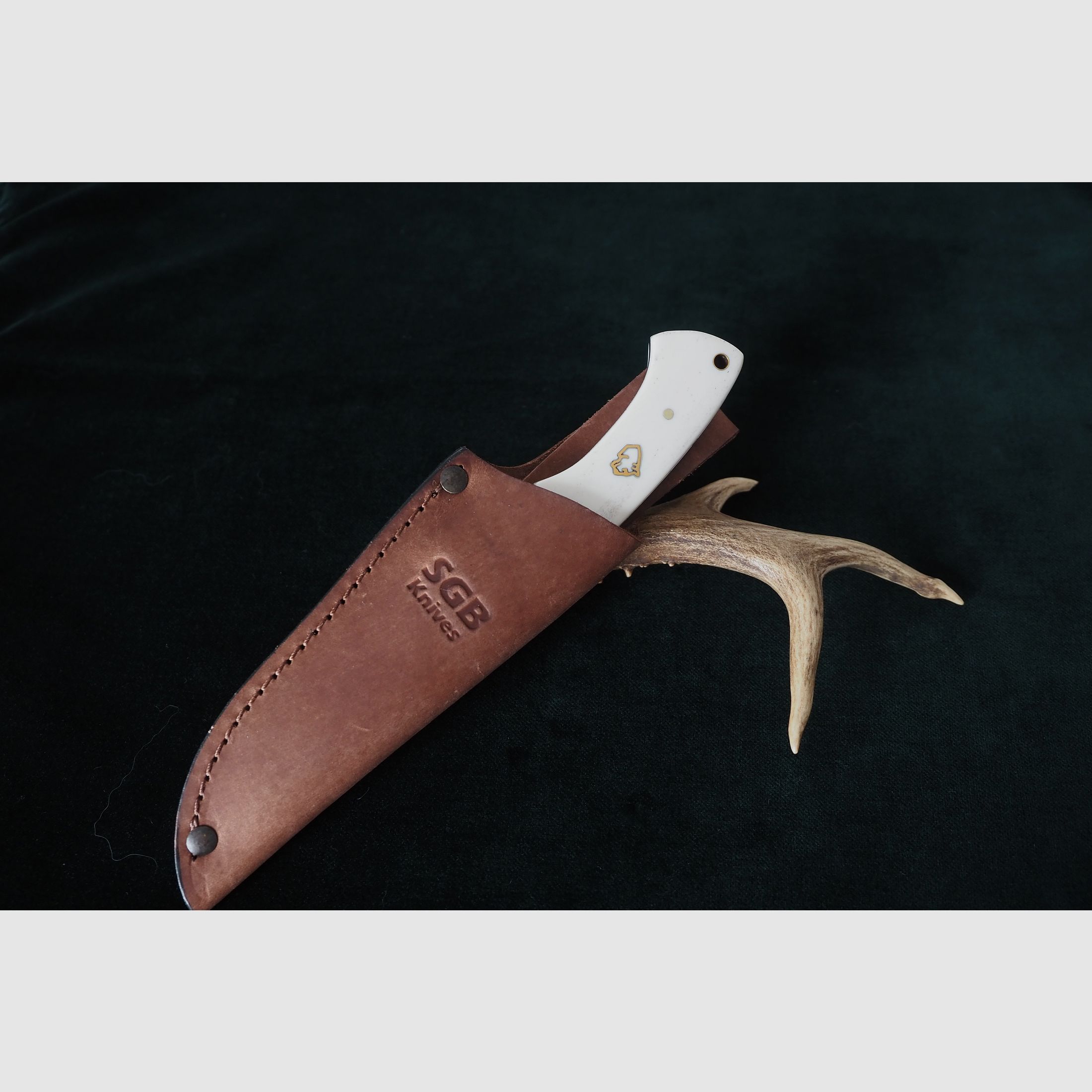 Puma SGB Coyote Glattes Weißes Knochen-Jagdmesser mit Lederscheide, Vitrinen Stück aus Sammlung, Neu und unbenutzt