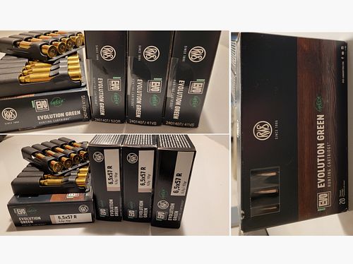 RWS 6.5x57 R Evolution Green 6.0g/93grs.