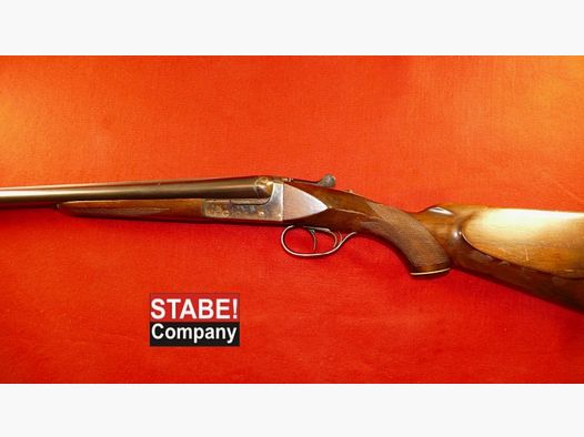 AYA Spanje Haviksspreeuw