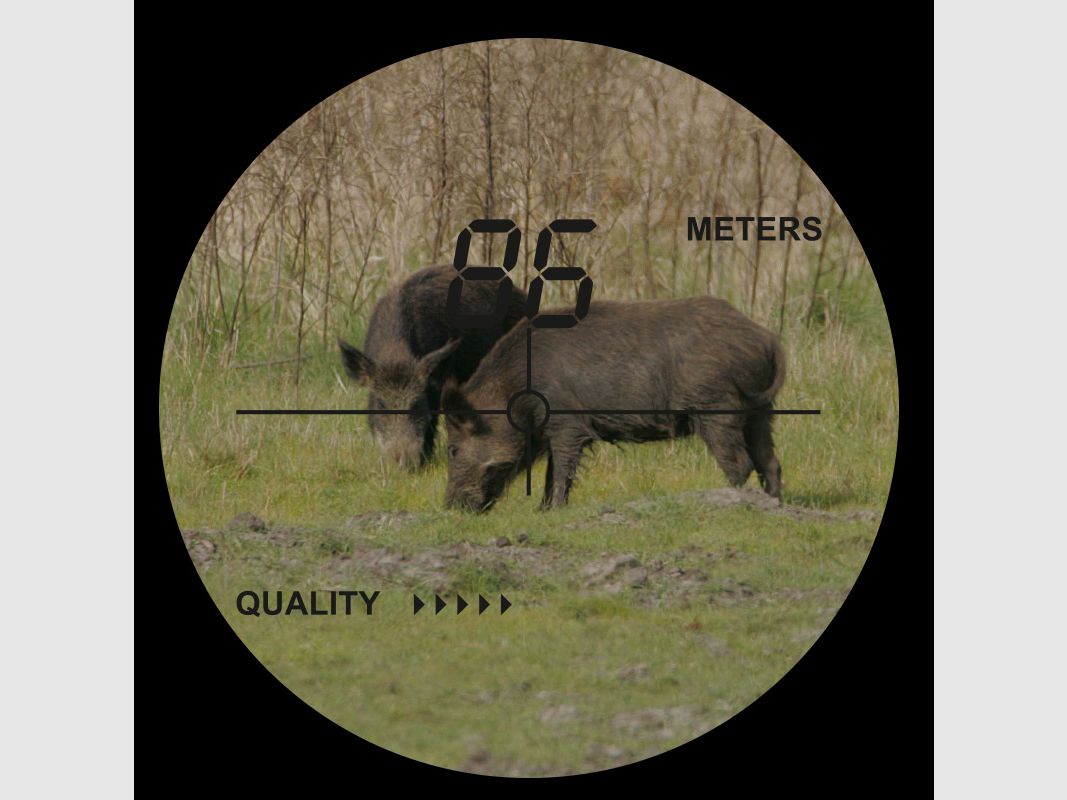 AKAH LRF 600 / Dalmierz