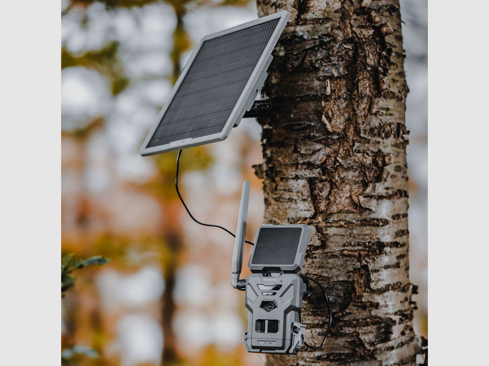 SPYPOINT Banque d'alimentation Solaire, image 10 sur 14