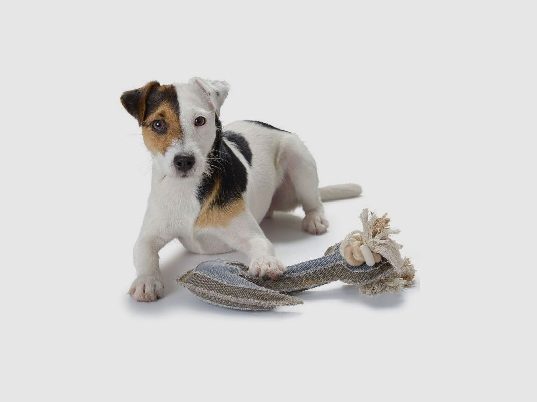 Hunter Hundespielzeug Canvas