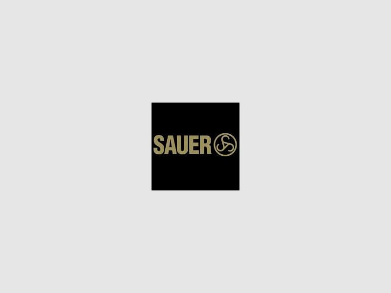 SAUER Mehrpreis für Neuwaffe Lauf: Big Game (.375 H&H) f. 404