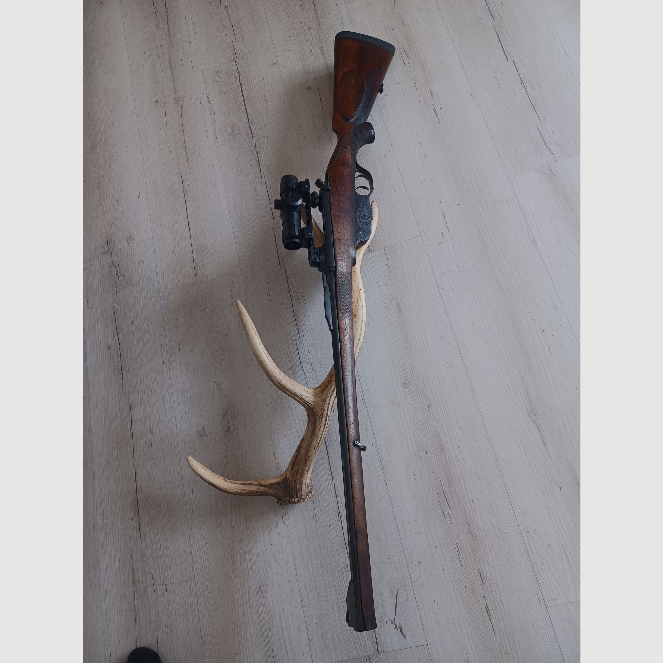 Büchse Steyr