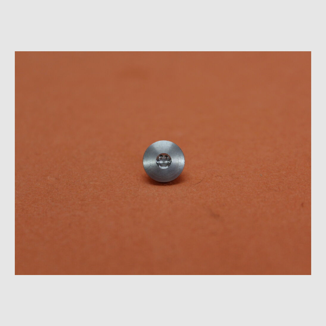 <SIG Sauer SIG Sauer X-LINE: 1 pieza tornillo de empuñadura Torx plateado NIRO (70001450)