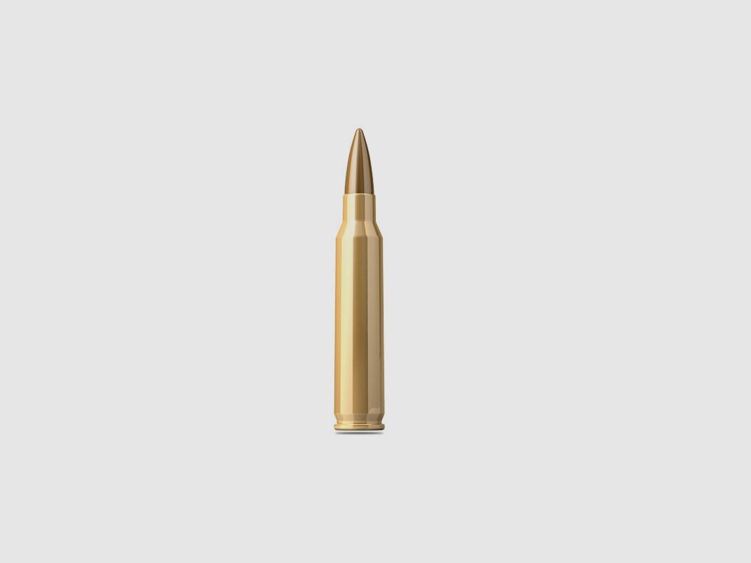 SM .223Rem FMJ 55gr/3,56g NATO Box 1250 Schuss, Bild 1 von 2
