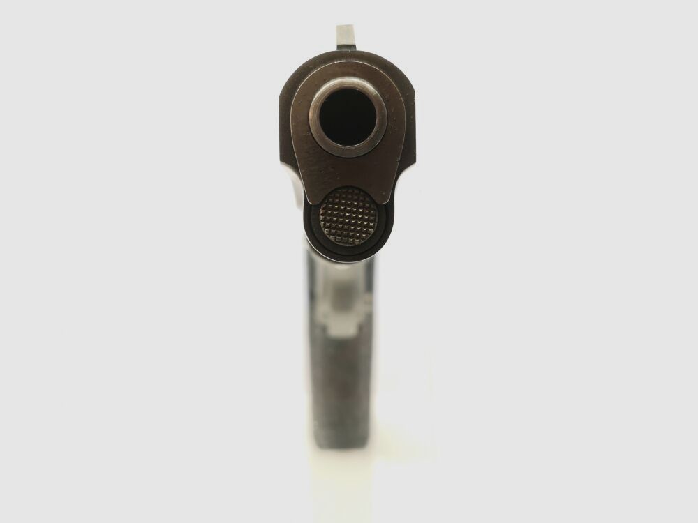 Colt MK IV Series 80, zdjęcie 9 z 10