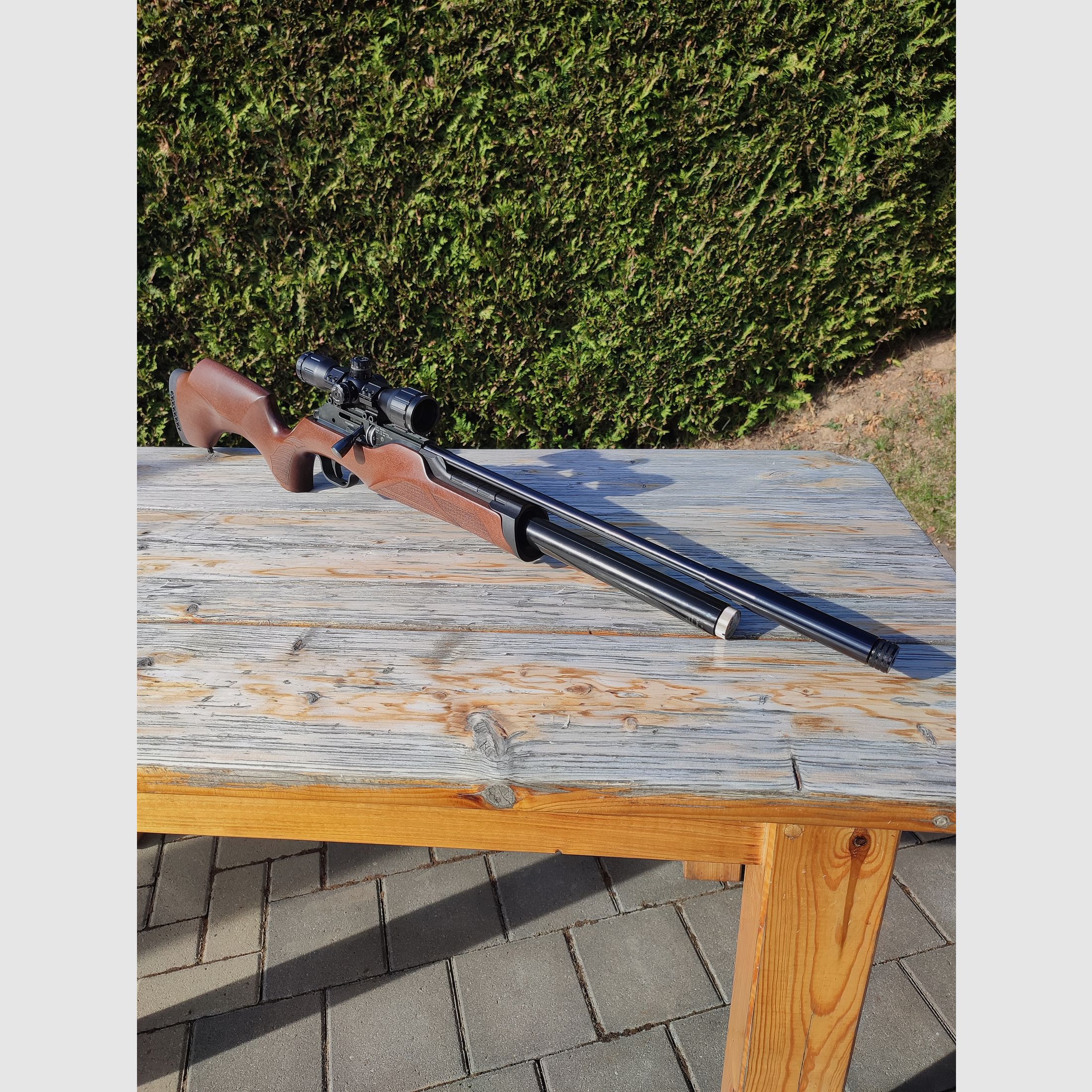 Walther Torminathor 4.5mm Diabolo F air rifle PCP