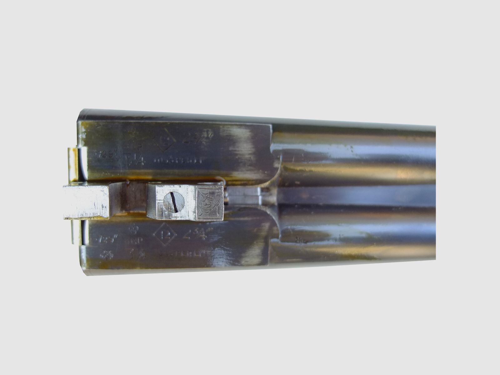 Webley & Scott, Bild 4 von 4