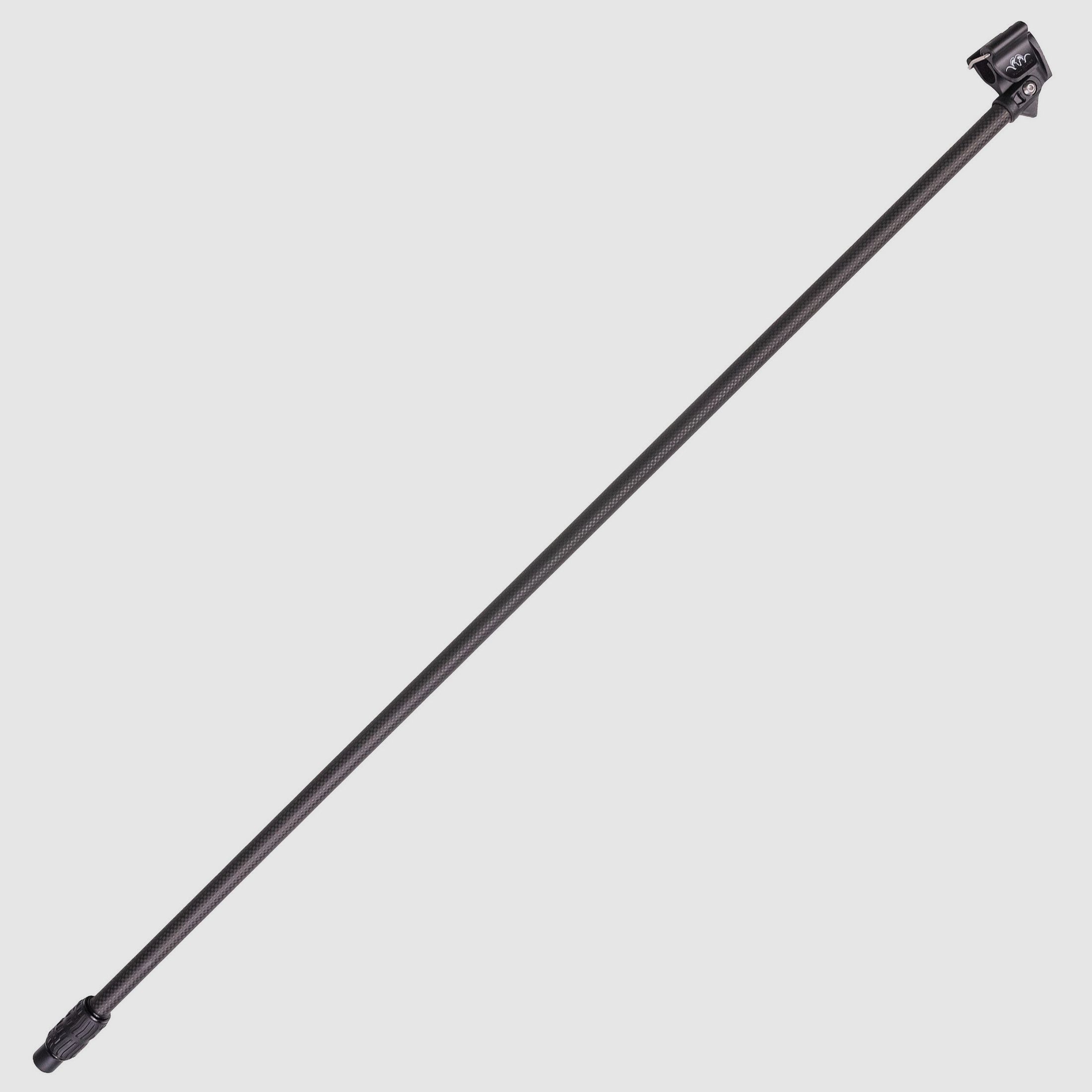 Blaser extension for target stock carbon