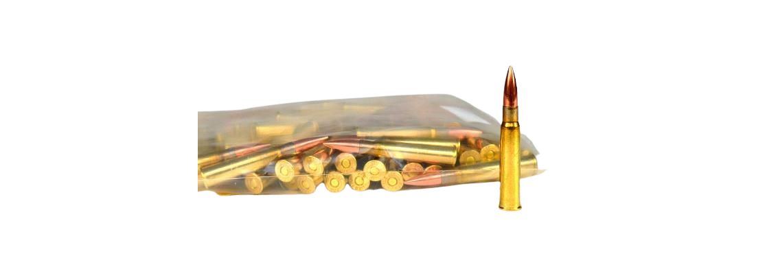 Prvi Partizan PPU .303 British Vollmantel 174 grs 100 Schuss