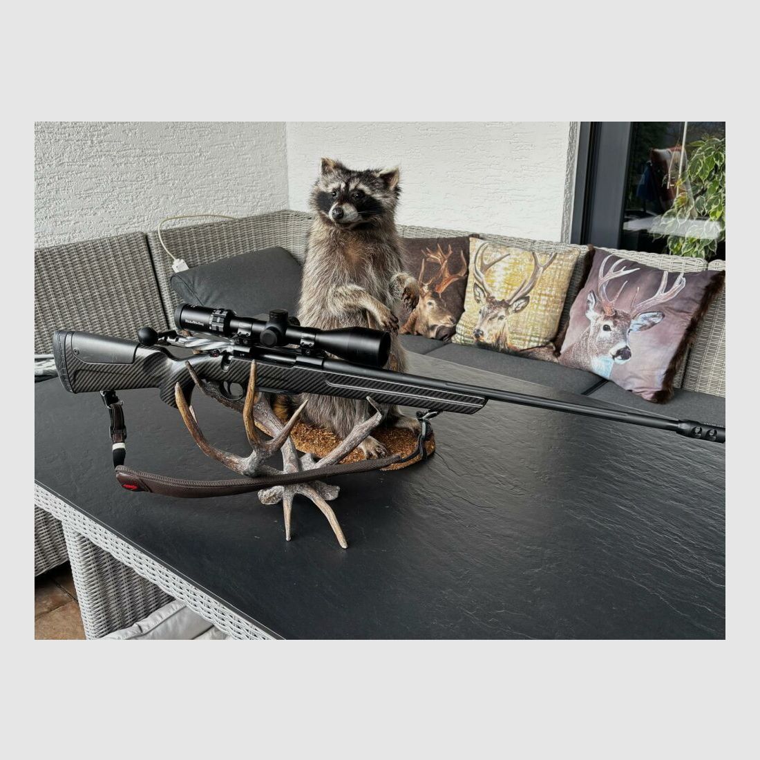 Sabatti Mercury Rover Carbon