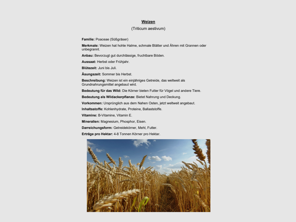 Zaadcollectie + beschrijvingsmap + Word-bestand + eiken kast voor onderwijsdoeleinden, afbeelding 7 van 7