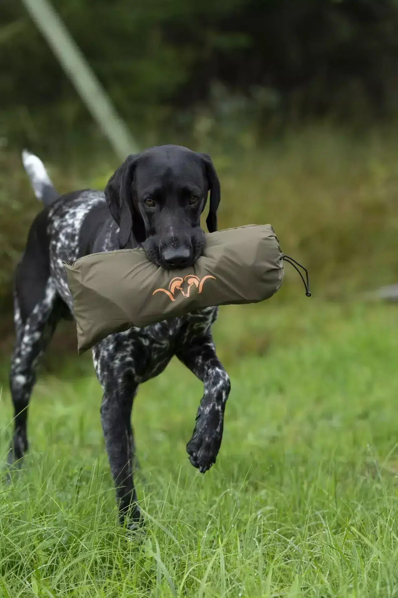 Blaser Hundedecke dunkel oliv 70×100 cm, Bild 6 von 6