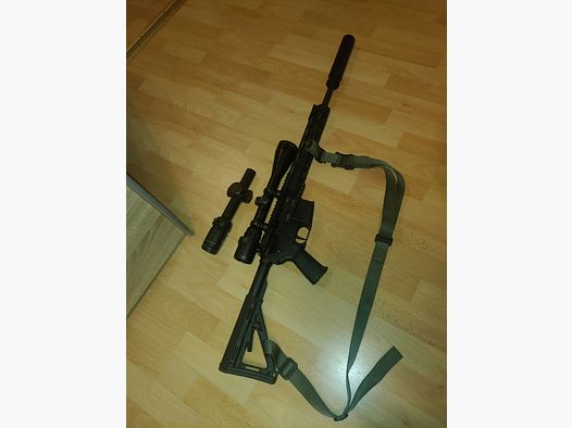 Diamondback 300 Blackout 16,5