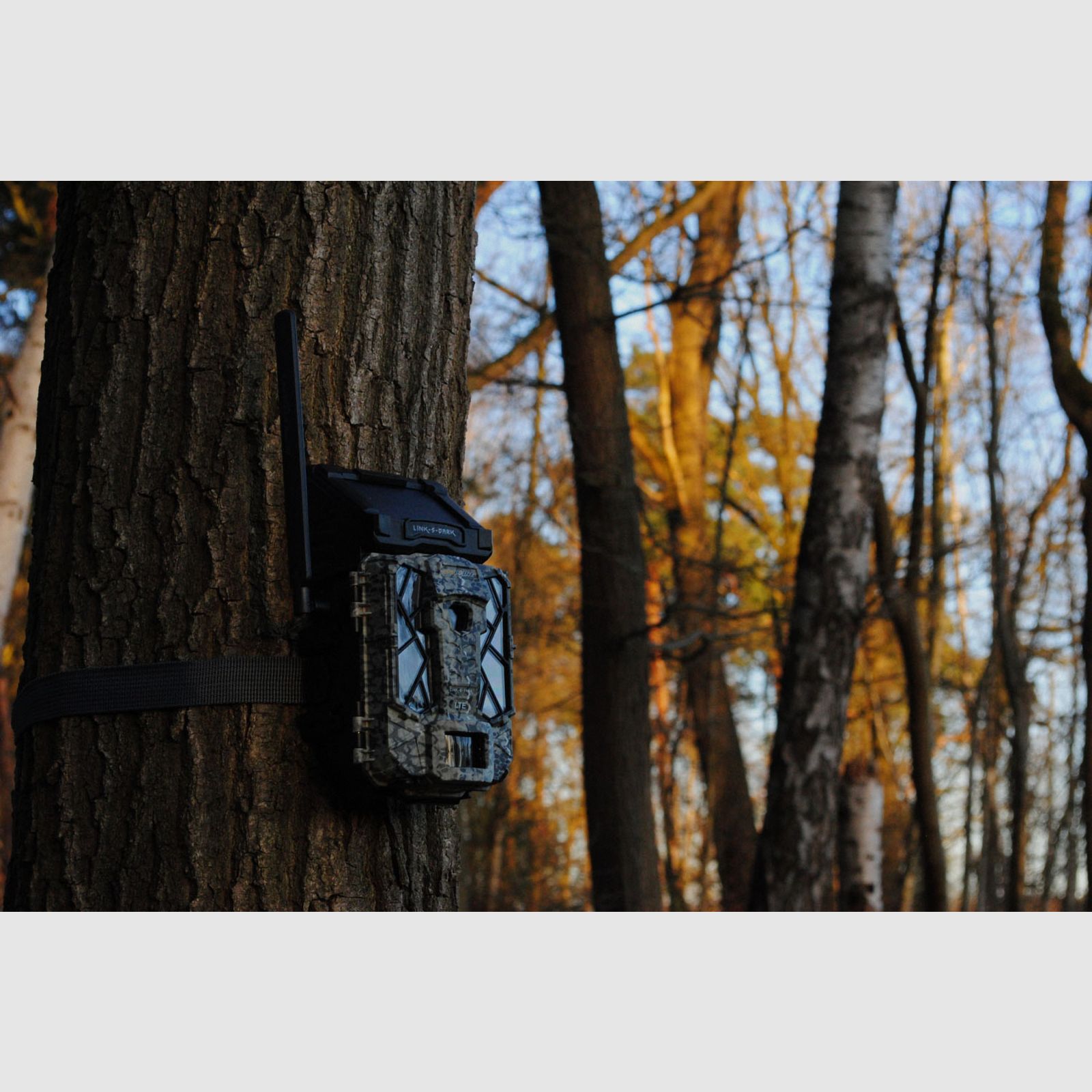 SPYPOINT Wildkamera Link-S Dark