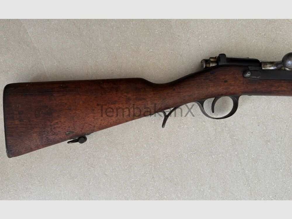 OE.W.F.G. Steyr M1886 8mmRothSteyr